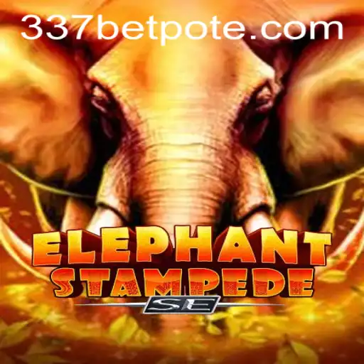 337bet PH Login Casino App